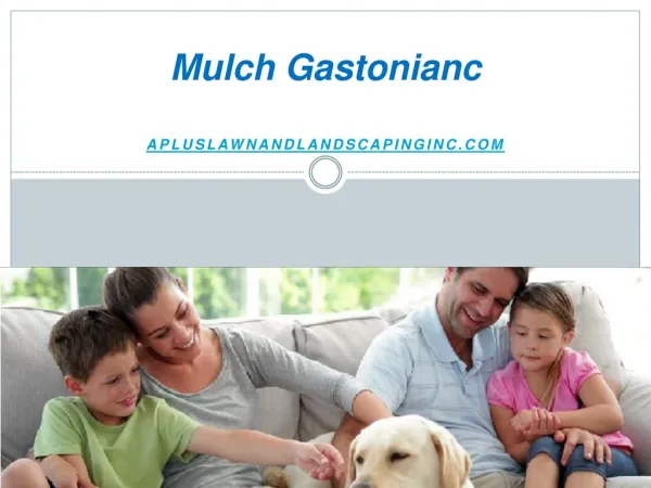 Mulch Gastonianc - Apluslawnandlandscapinginc.com