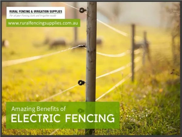 Advantages of Installing Electric Fence