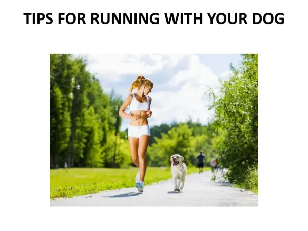 Tips for Runing with Your Dog