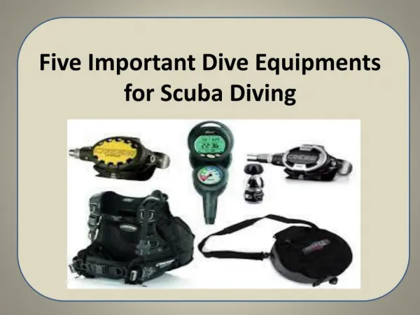 Five Important Dive Equipments for Scuba Diving