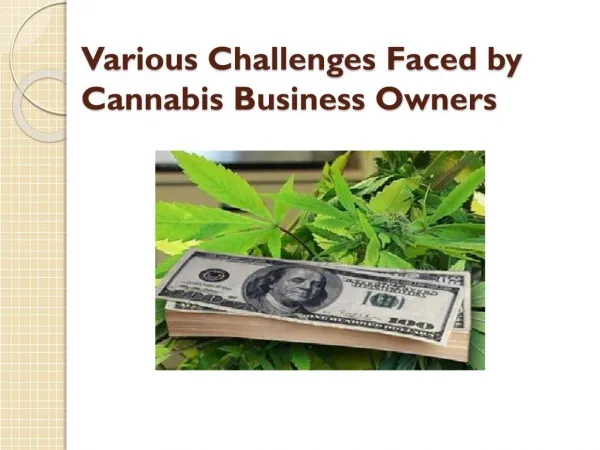 Various Challenges Faced by Cannabis Business Owners