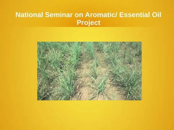 Natioanl Seminar On Aromatic Essential Oil Project
