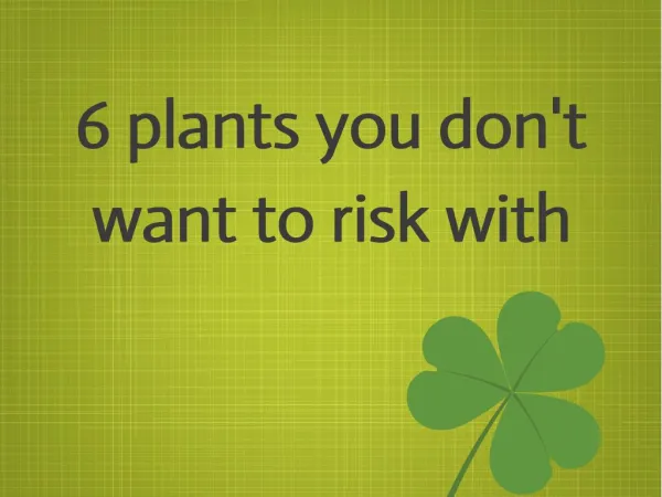 6 plants you don't want to risk with