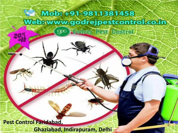 Pest Control Faridabad, Ghaziabad, Indirapuram, Delhi Call 9811381458