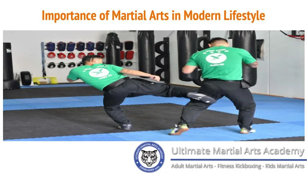 importance of martial arts in modern lifestyle