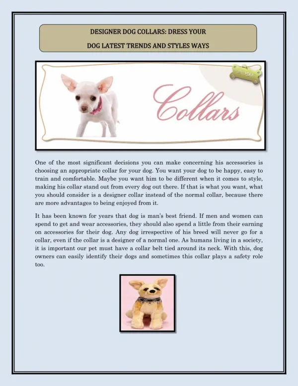 DESIGNER DOG COLLARS: DRESS YOUR DOG LATEST TRENDS AND STYLES WAYS