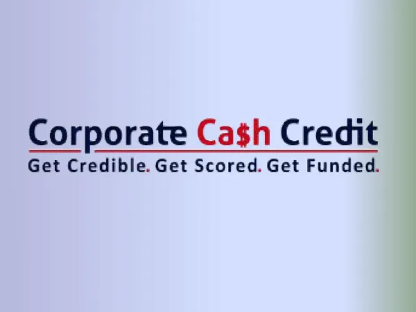 Why Corporate Cash Credit Is So Successful at Helping People Build Corporate Credit