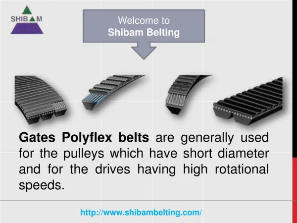 Gates Polyflex Belts Convey High Measure of Burden