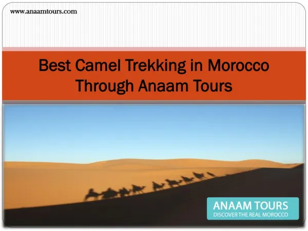 Best Camel Trekking in Morocco Through Anaam Tours