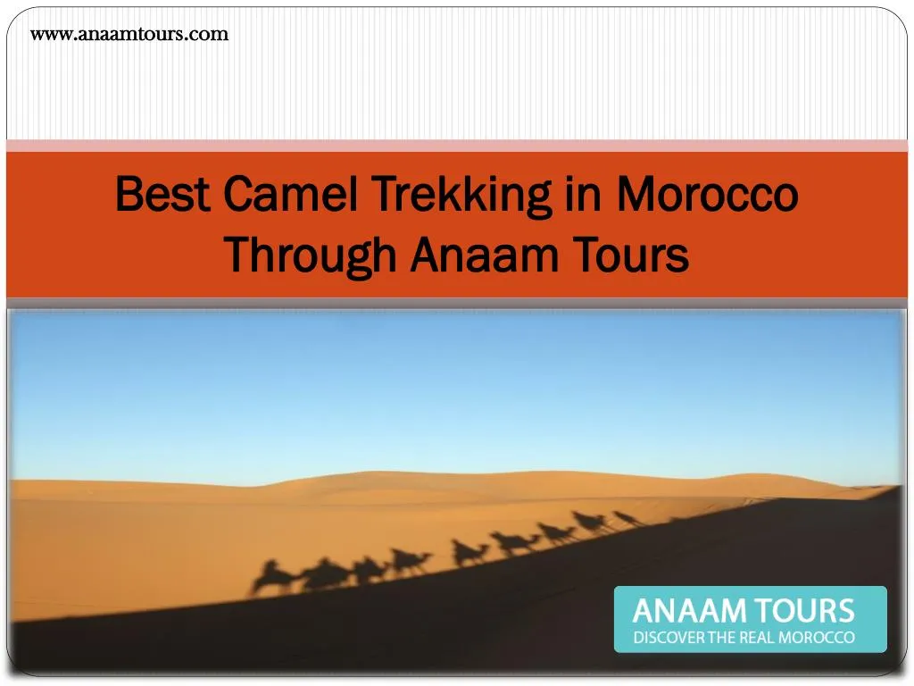 best camel trekking in morocco through anaam tours