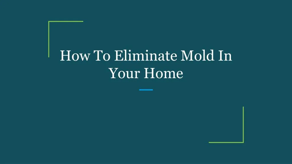 how to eliminate mold in your home