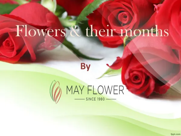 Flowers and their months