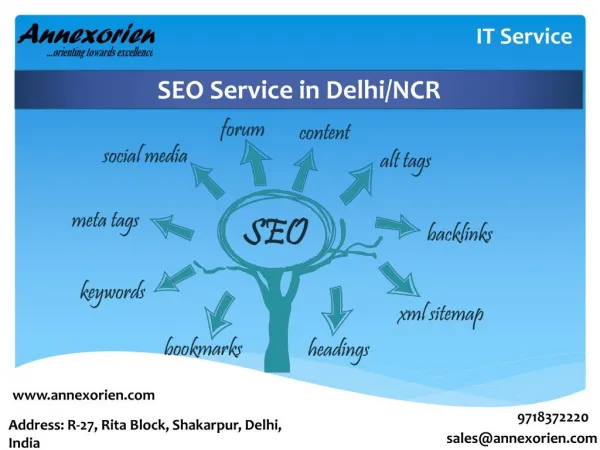 SEO Service at Annexorien Technology in Delhi/NCR