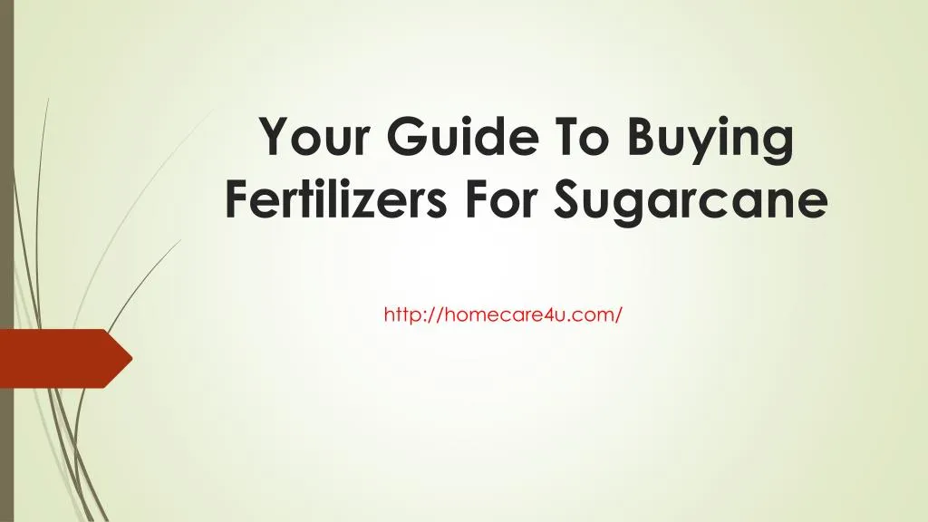 your guide to buying fertilizers for sugarcane