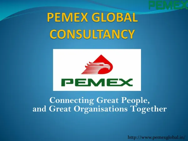 Pemex Global Consultancy
