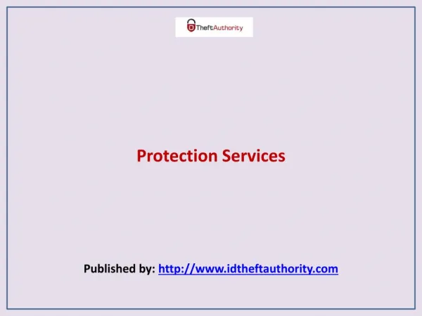 Theft Authority-Protection Services