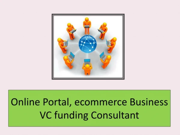 Online Portal, ecommerce Business VC funding Consultant