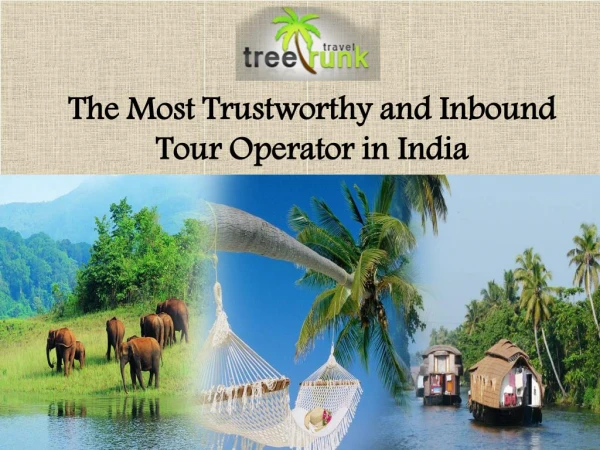 Tree Trunk Travel – The Most Trustworthy and Inbound Tour Operator in India