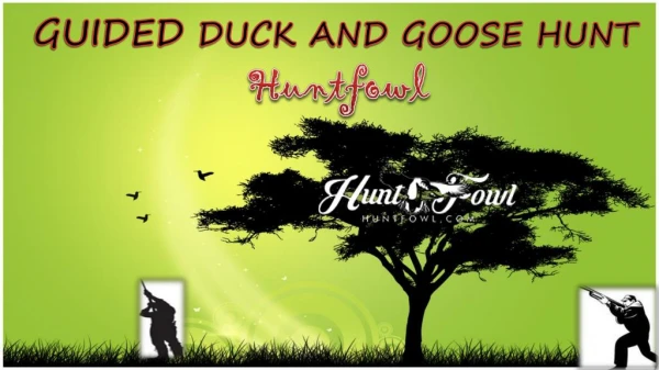 Guided Duck Goose Hunting