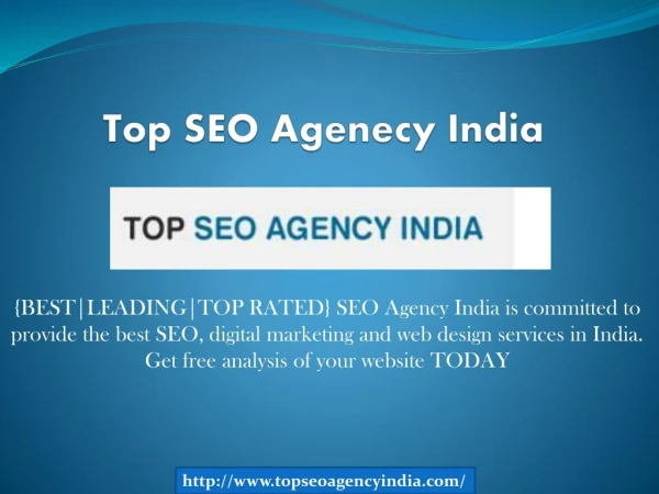 Top SEO Agenecy India