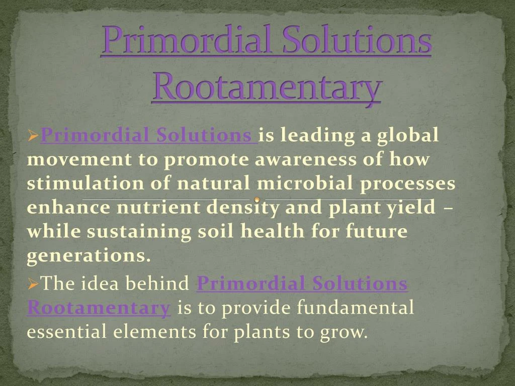 p rimordial solutions rootamentary