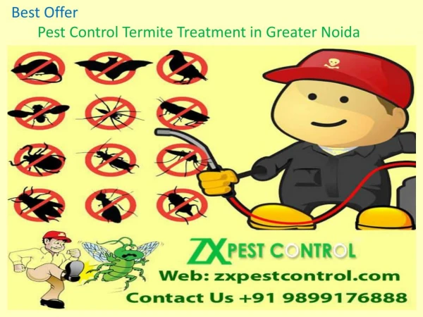 Best Offer- Pest Control Termite Treatment in Greater Noida