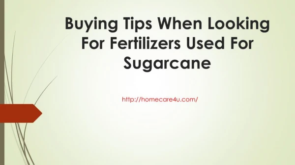 Buying Tips When Looking For Fertilizers Used For Sugarcane