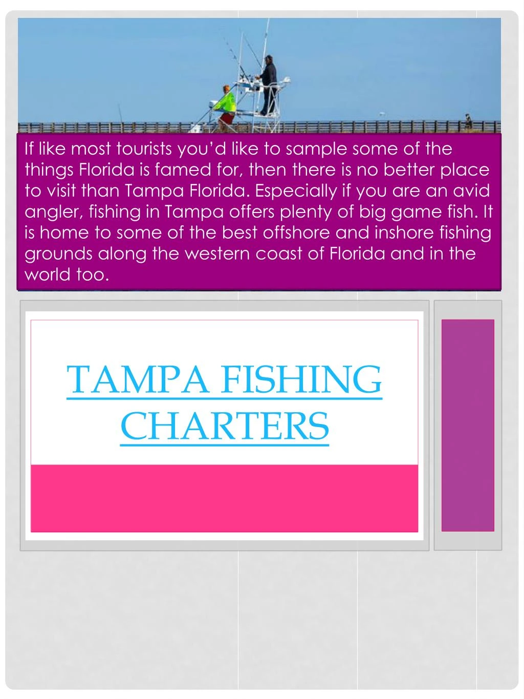 tampa fishing charters
