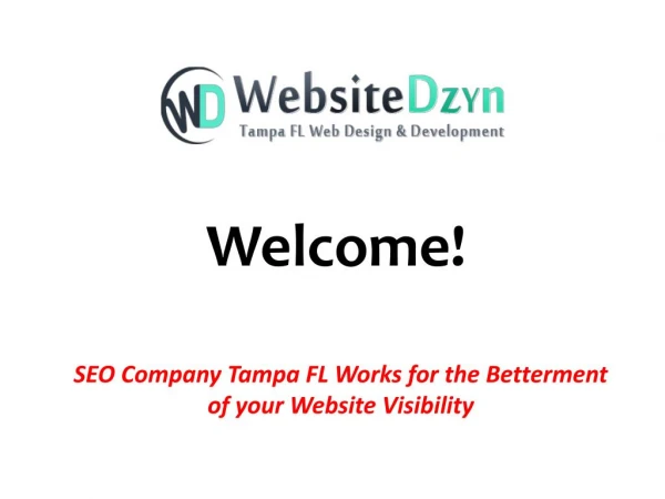 SEO Company in Florida Offering Reasonably-Priced Services