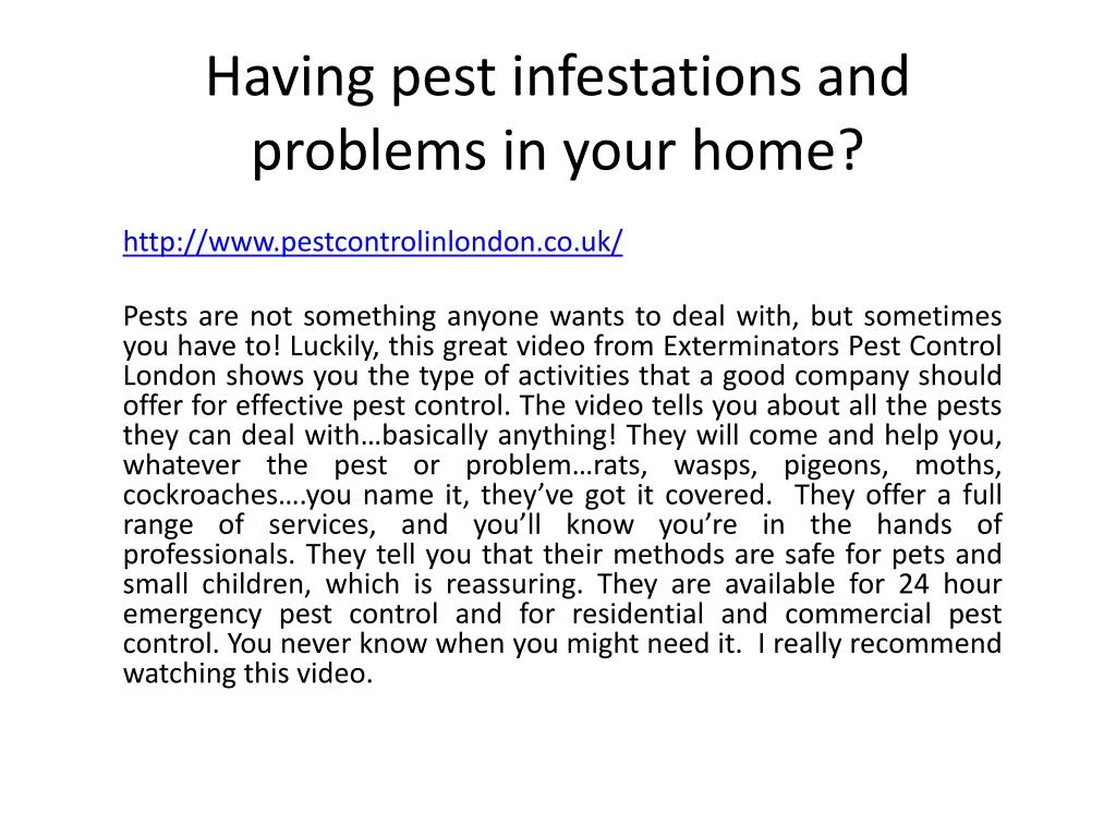 having pest infestations and problems in your home