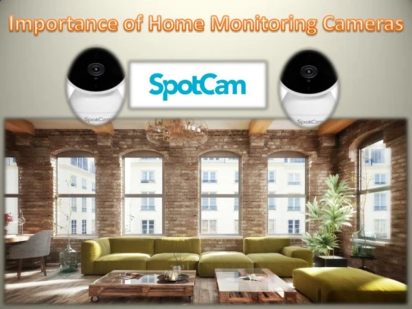 Importance of Home Monitoring Cameras