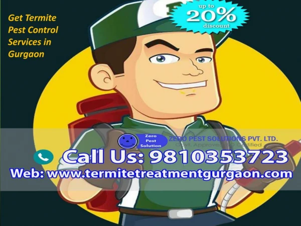 Get Termite Pest Control Services in Gurgaon Call Us at 91 9810353723