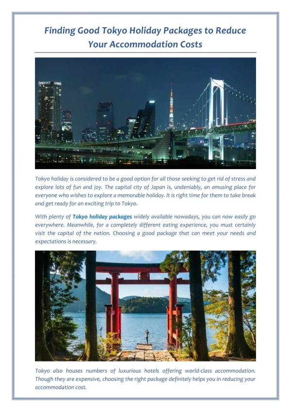 Finding Good Tokyo Holiday Packages to Reduce Your Accommodation Costs