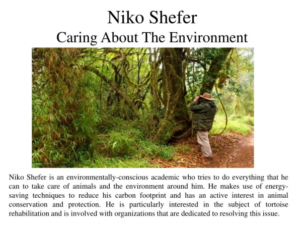 Niko Shefer - Caring About The Environment
