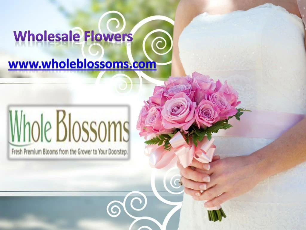 wholesale flowers