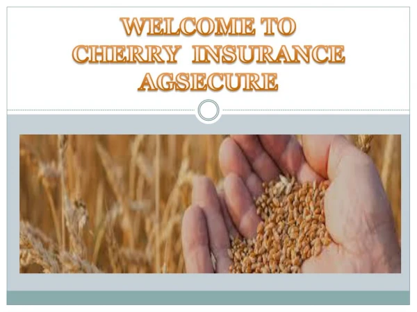 Grain Insurance