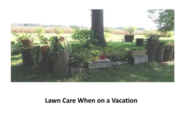 Lawn Care When on a Vacation