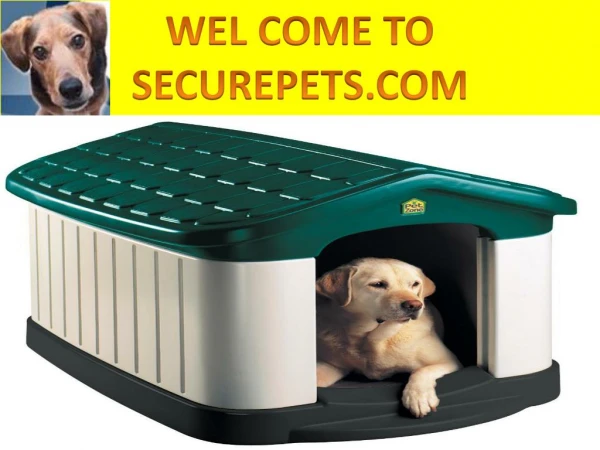 Find top quality dog house ac only at Securepets.com