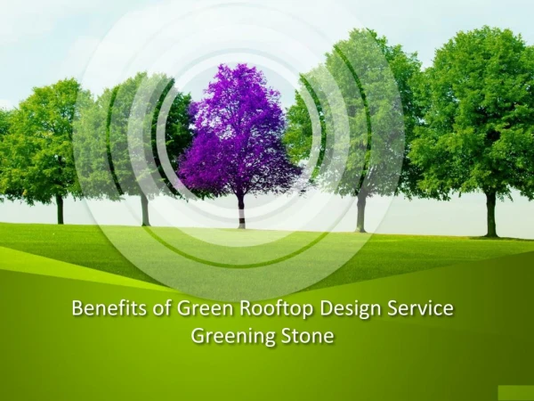 Benefits of Green Rooftop Design Service - Greening Stone