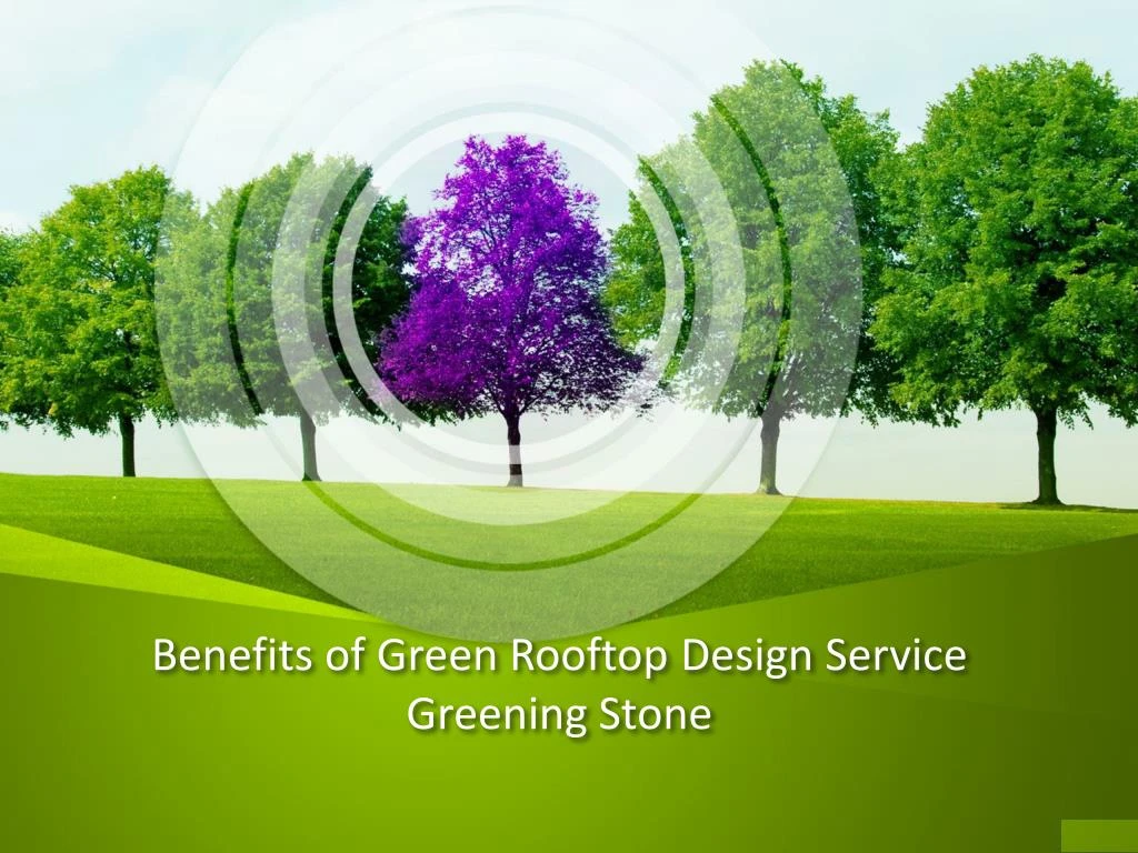benefits of green rooftop design service greening stone