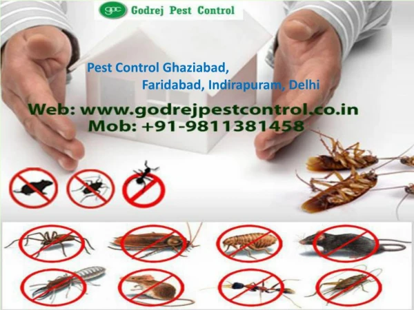 Best Termite Treatment Ghaziabad by Godrej Pest Control