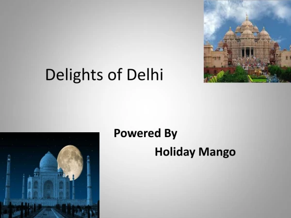 Delhi delights by holiday mango