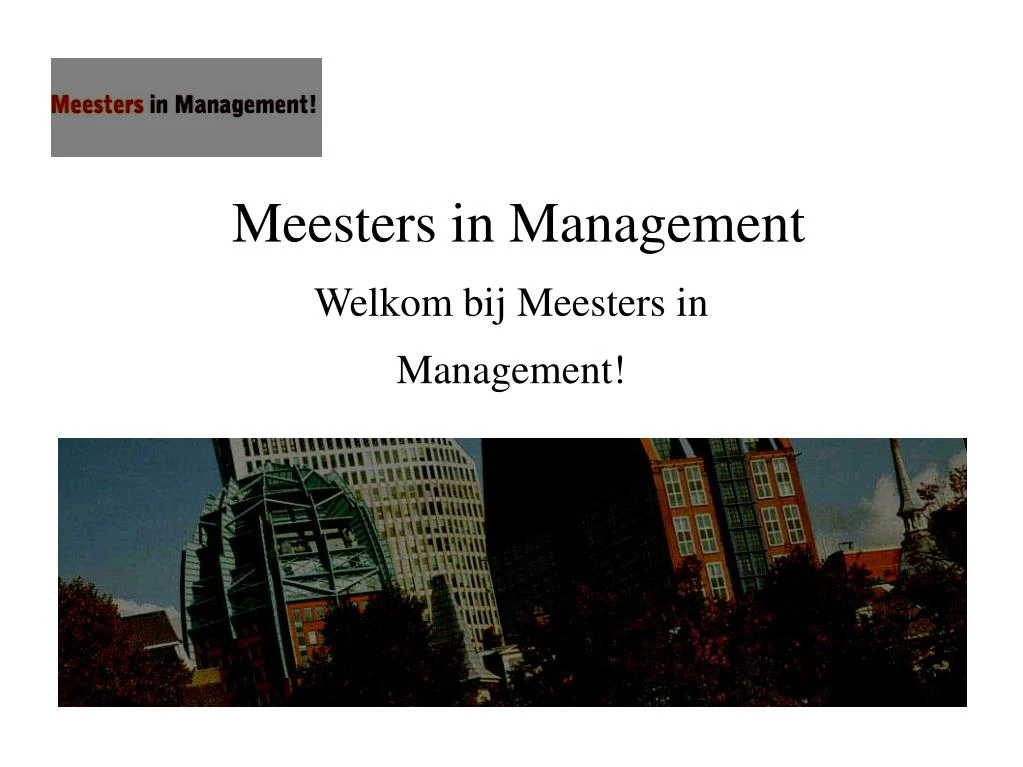 meesters in management