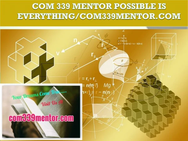 COM 339 MENTOR Possible Is Everything/com339mentor.com