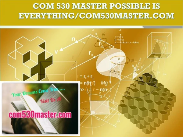 COM 530 MASTER Possible Is Everything/com530master.com