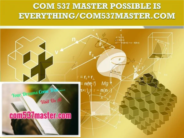 COM 537 MASTER Possible Is Everything/com537master.com