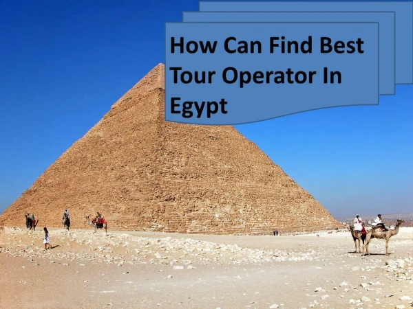 How Can Find Best Tour Operator In Egypt