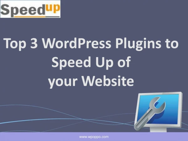 Reduce the Speed of Your Website with WordPress Plugin