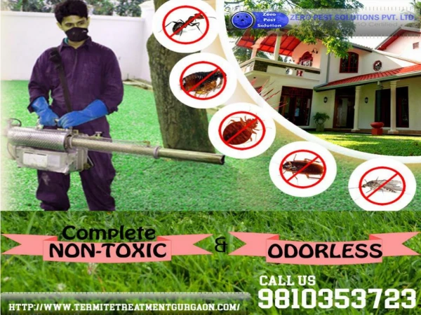 The utmost odorless and non-toxic termite pest control services in Gurgaon. Call 9810353723.