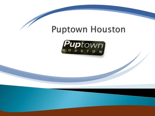Dog Trainer Woodlands - Puptown Houston